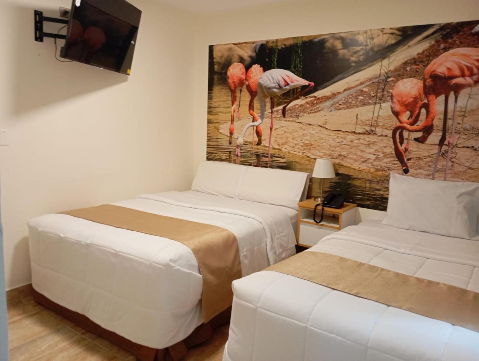 Hotel Soul Mate Inn Lima Extérieur photo
